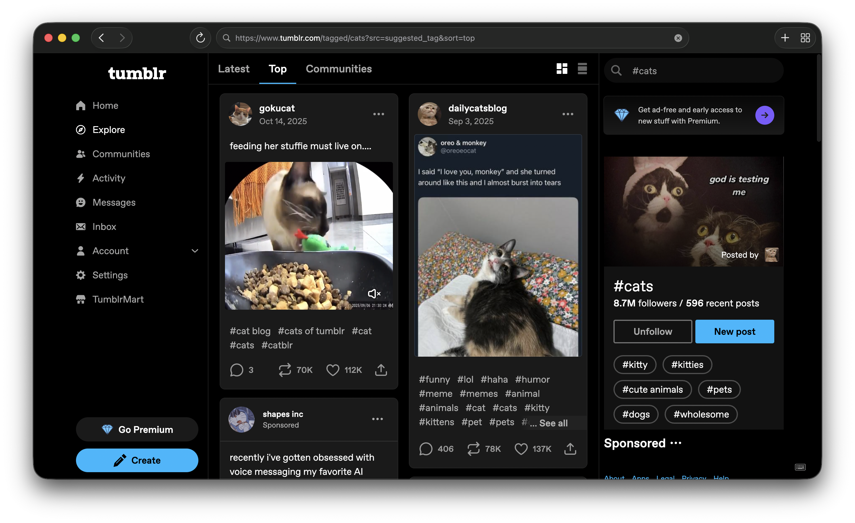Tumblr feed loading in Ladybird